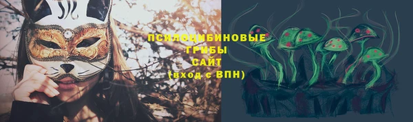 соль ск Гусев