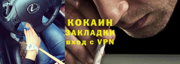 соль ск Гусев