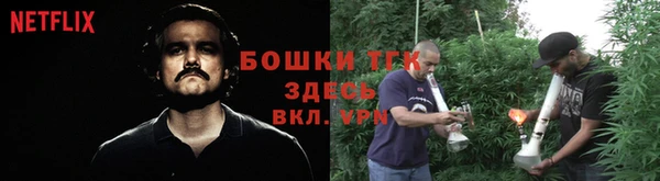 PSILOCYBIN Дмитриев