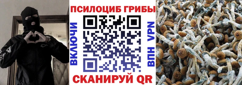 наркотики  Мценск  Псилоцибиновые грибы прущие грибы 